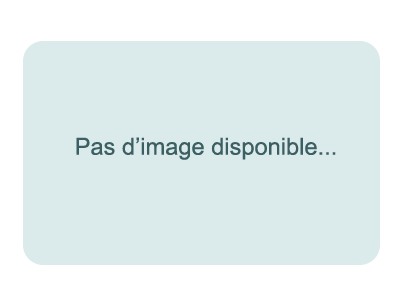 pas d'image